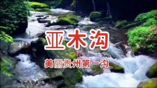 既然说，侄子终归不是儿子，为什么侄子还比朋友的儿子强（一后面一百亿个零）倍？